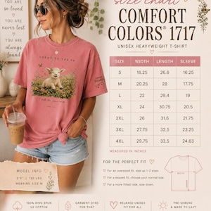 May include: A dusty rose Comfort Colors 1717 unisex heavyweight t-shirt featuring a graphic of a lamb in a field of flowers with the text Sorry to the 99 and Luke 15:4. A size chart displays width, length, and sleeve measurements in inches.