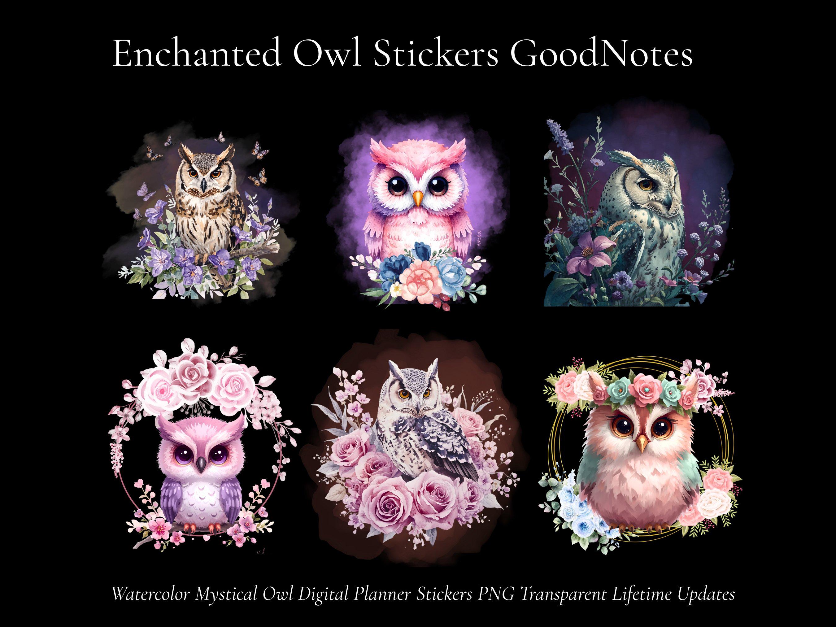 Enchanted Watercolor Owl Stickers | Mystical, Floral, Kawaii Digital Planner PNG