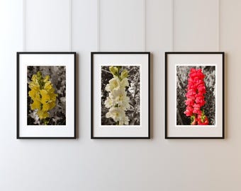 Art numérique aux couleurs vives des fleurs, mur imprimable, oeuvre d'art botanique, photographie de la nature,