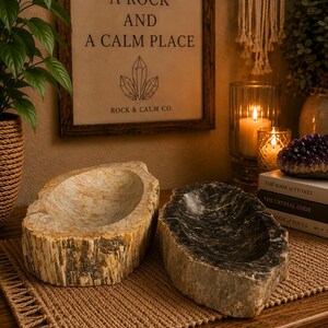 Petrified Wood Catchall - Etsy