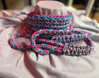 Dog collar/leash