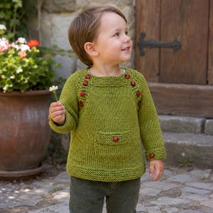 May include: A long-sleeved olive green knit sweater featuring a square neckline, a front pocket with a single red ladybug button, and additional ladybug buttons along the shoulder seams and sleeve cuffs, paired with dark green corduroy pants.