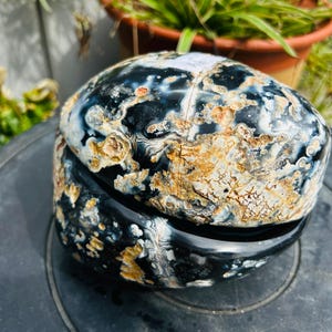May include: A polished, oval-shaped stone with a striking pattern of black, white, and golden-brown hues. The stone's surface has a glossy finish, revealing intricate veining and natural formations. This decorative stone is a unique piece for display.