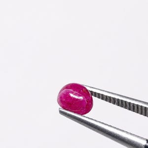 Può includere: Una piccola gemma di colore rosso rosato intenso, di forma ovale e con una superficie cabochon liscia e lucida. La pietra è tenuta da una pinzetta in metallo color argento, che ne mette in risalto il colore vivace e la consistenza traslucida.