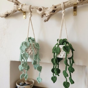 May include: Two hanging crochet plant holders with trailing leaves. One is light green, the other is dark green. Both are suspended from a natural wood branch with rope and brass hardware. The pots are white.