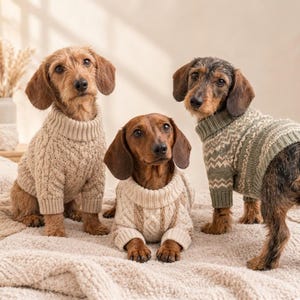 May include: Three wire-haired dachshunds wearing knit sweaters. Two dogs wear beige cable-knit sweaters with ribbed collars and cuffs. One dog wears a sage green and cream sweater featuring a geometric zigzag pattern and a ribbed collar.