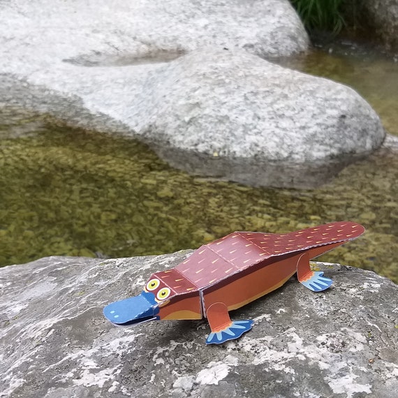 Platypus Paper Toys: DIY Craft Kit, 3D Paper Animals - Etsy