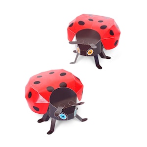 Giocattoli di carta a forma di coccinella - Kit fai da te per lavoretti di carta - Animali di carta 3D - Coccinelle - Coleotteri - Coccinelle