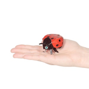 Carte postale artisanale en papier Coccinelle — À ASSEMBLER