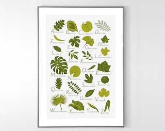 Leaves Alphabet Poster from A to Z, BIG POSTER 13x19 inches