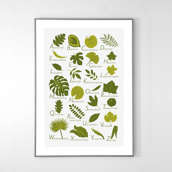 Leaves Alphabet Poster from A to Z, BIG POSTER 13x19 inches