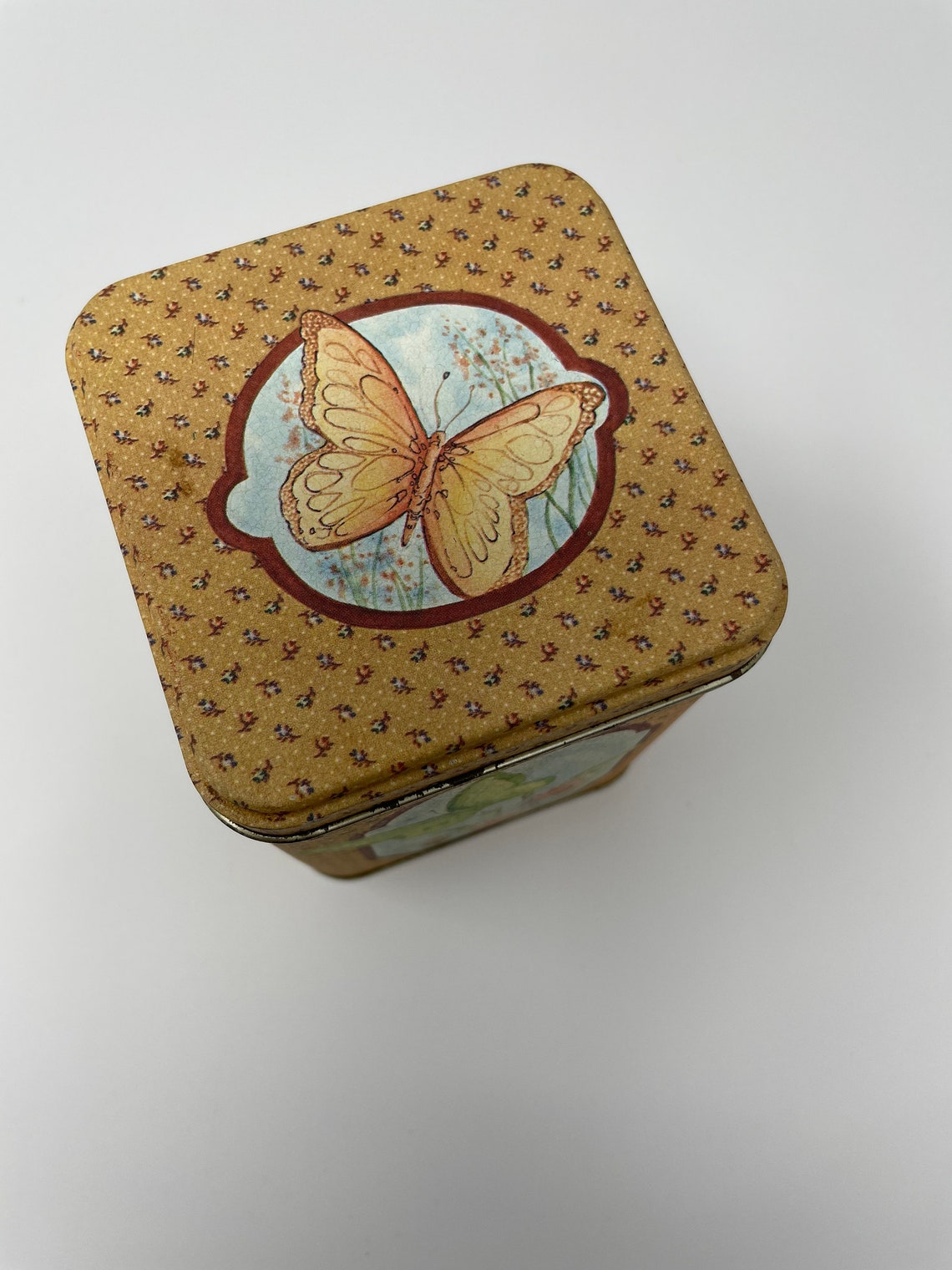 Vintage Butterfly Tin Butterflies Container Etsy