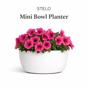 Fiberglas STELO Mini Schale Pflanzschale | Moderner Blumentopf | Indoor Outdoor Tabletop | BlossomBowl Geschenk