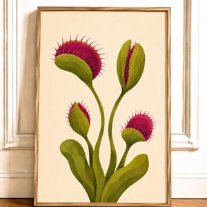 Può includere: Una stampa artistica verticale incorniciata raffigurante un'illustrazione botanica di una pianta carnivora dionaea. La pianta presenta steli e foglie verdi con quattro trappole distinte, ognuna con un interno magenta vivace.