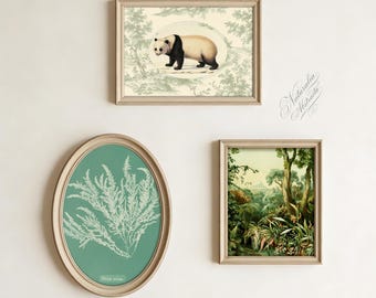Set of 3 Vintage Botanical Prints, Digital Download, Cabinet of Curiosities Wall Art, Tropical Forest, Panda Nature Posters, Dark Academia