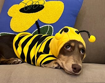 Funny Bee Dog Hoodie, Fleece Winter Pet Costume for Small Dogs Cats