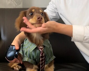 Gentleman Hund mit Krawatte, gestreiftes formelles Welpen-Outfit, kleines Hemd, atmungsaktive Haustierkleidung