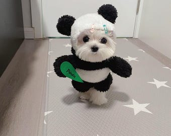 Panda Hundekostüm für kleine Rassen, Plüsch Winter Welpe Hoodie Outfit