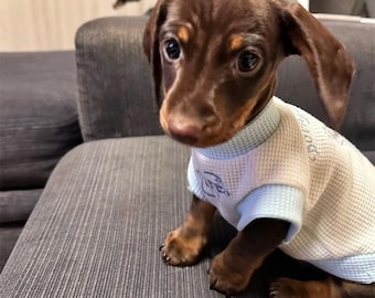 Dackel Hundehalstuch, leichtes Sommer-Haustier-T-Shirt, kleine Hundeweste für Welpen
