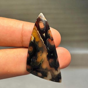May include: A triangular-shaped polished gemstone featuring a dark brown and black base with translucent amber and cream-colored orbicular inclusions. The stone has a smooth, glossy surface with a distinct pattern of swirling, rounded shapes.