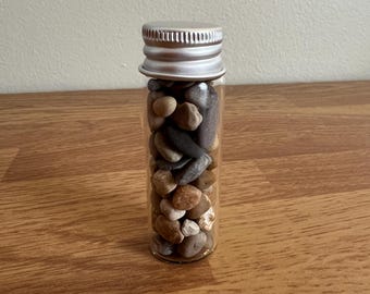 Lake Huron Pebble Jar - Hand Curated Great Lakes Stones