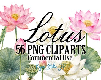 Watercolor Lotus Clipart Bundle, Botanical Illustrations, Transparent PNG, Commercial Use, Digital Download