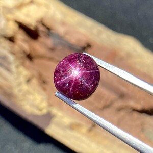 May include: A round, deep magenta star ruby gemstone featuring a distinct six-rayed star effect on its polished cabochon surface. The gemstone is held by a pair of silver-toned metal tweezers, showcasing its rich color and natural inclusions.