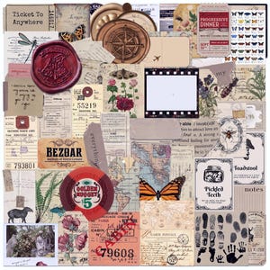May include: A collection of vintage-style paper ephemera featuring a red wax seal, a compass, a film strip, butterfly illustrations, maps, botanical prints, ticket stubs, and various printed text including Ticket To Anywhere and Pickled Teeth.