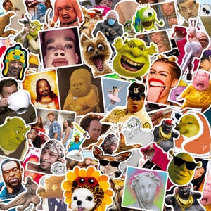 Może przedstawiać: Kolekcja różnorodnych naklejek winylowych przedstawiających rozmaite memy internetowe, postacie z popkultury oraz humorystyczne ilustracje. Naklejki prezentują szeroki wybór kolorowych wzorów, w tym postacie z kreskówek, celebrytów oraz zwierzęta.