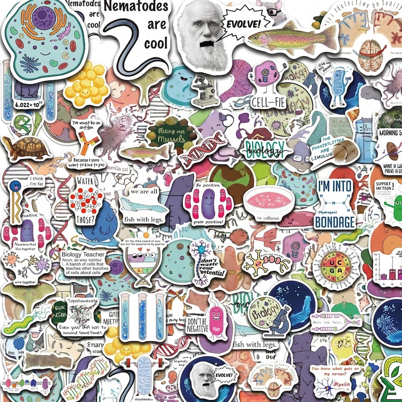 Stem Cells Stickers - Etsy