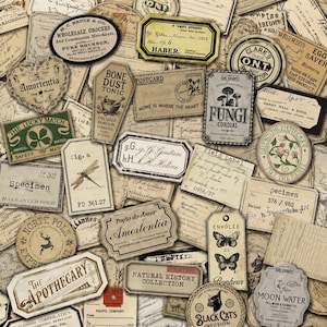 May include: A collection of aged labels and tags with a vintage aesthetic. The labels display text such as "Specimen," "The Apothecary," and "Natural History Collection," alongside botanical illustrations. The color scheme is predominantly beige, brown, and cream.