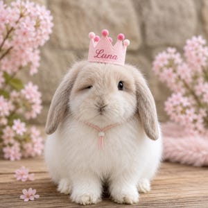 Può includere: Un coniglio ariete beige chiaro e bianco indossa una piccola corona in feltro rosa chiaro con il nome Luna ricamato in filo rosa scuro. La corona presenta minuscoli pon pon rosa sulle punte ed è fissata con un sottile cinturino rosa.