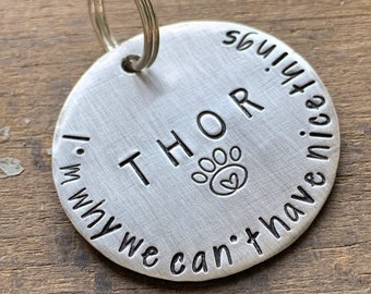 Funny Personalized Dog Tag, Double Sided Tag I'm Why We Can't Have Nice Things