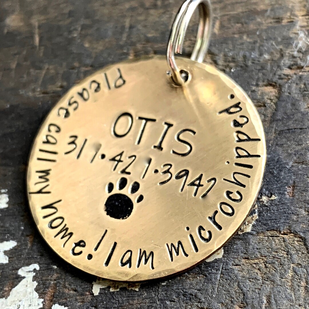Microchipped Dog Tag Dog Tag for Collar Large Personalized Etsy