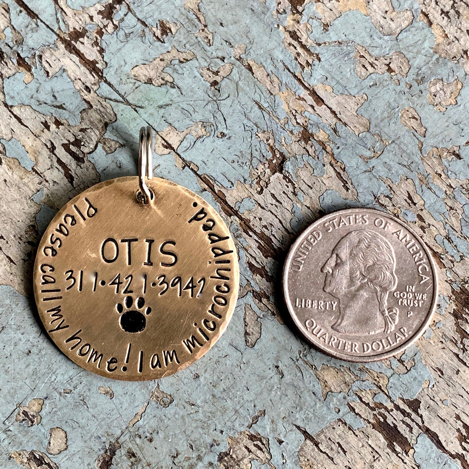 Microchipped Dog Tag Dog Tag for Collar Large Personalized Etsy