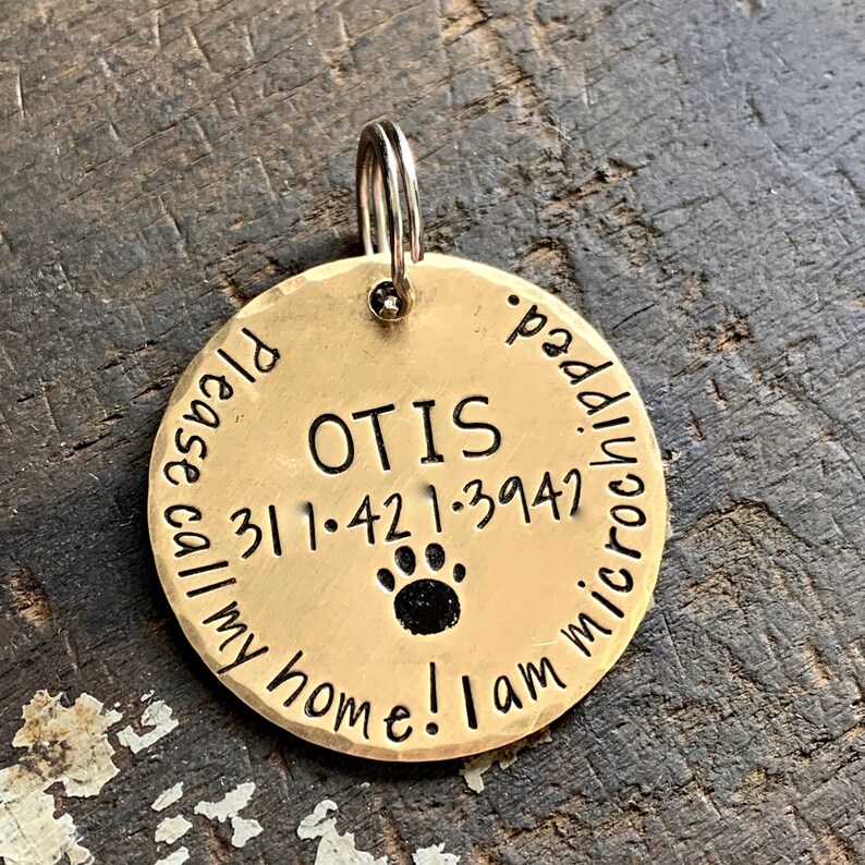Microchipped Dog Tag Dog Tag for Collar Large Personalized Etsy