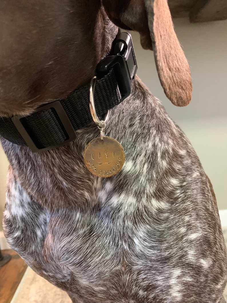 Rose Gold Dog Tags Large Dog ID Tag Custom Engraved ID Tags Etsy