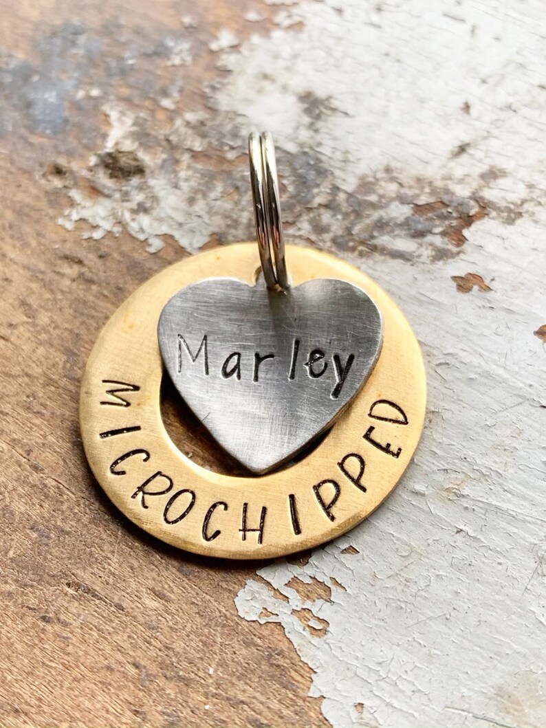 Microchipped Pet Tag Gold Name Tag for Pets Personalized Dog Etsy