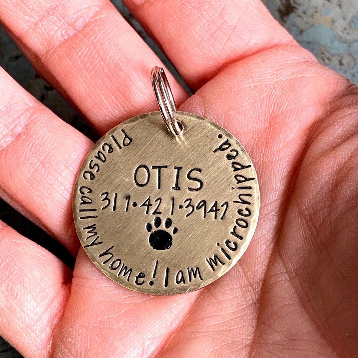 Microchipped Dog Tag Dog Tag for Collar Large Personalized Etsy