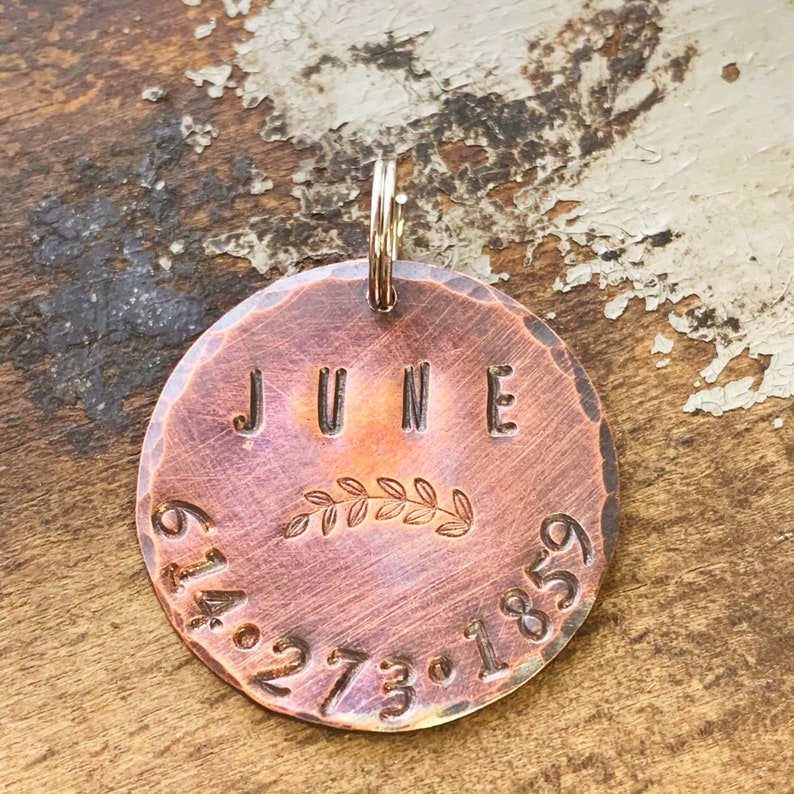 Rose Gold Dog ID Tag Custom ID Tags for Pets Personalized Etsy