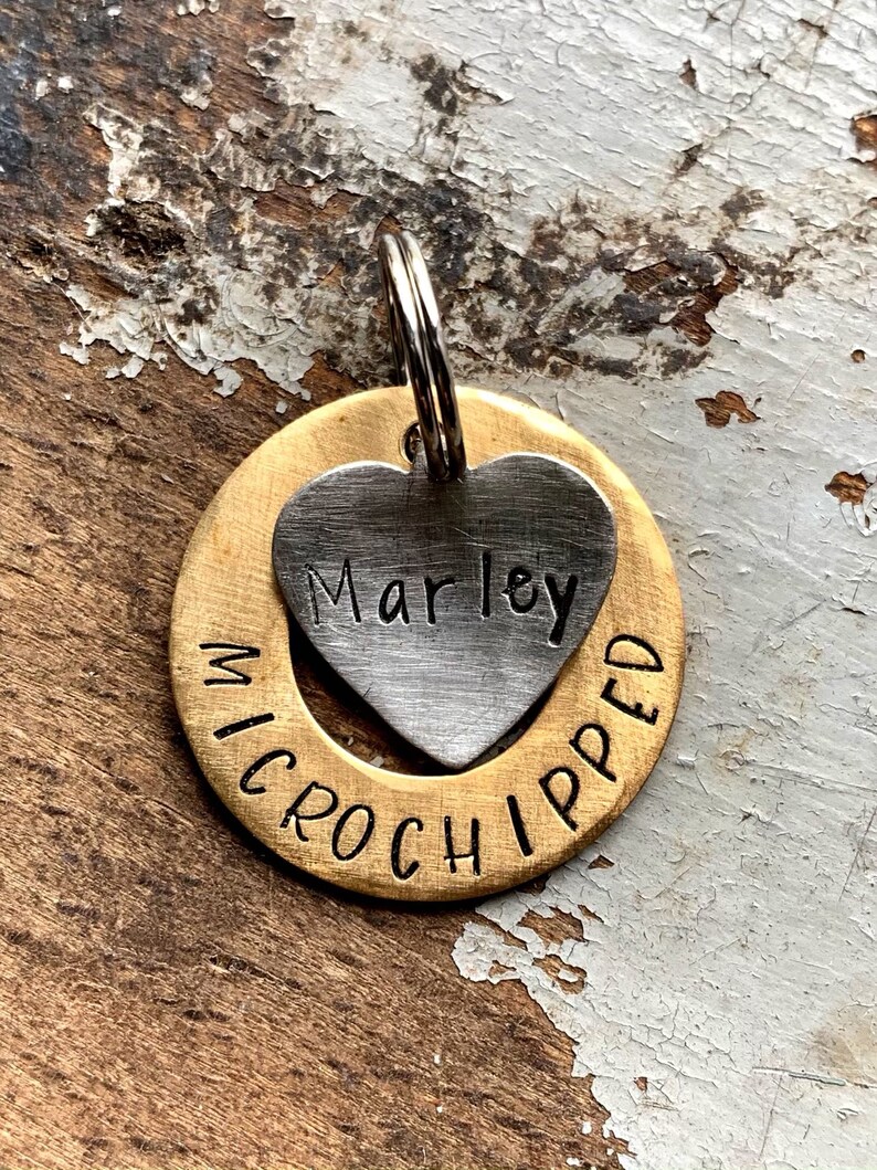 Microchipped Pet Tag Gold Name Tag for Pets Personalized Dog Etsy