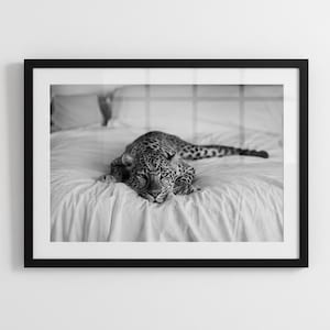 Puede incluir: Una impresión de arte mural enmarcada en blanco y negro que muestra a un leopardo acostado sobre una cama blanca arrugada. El leopardo está posicionado en el centro del marco, mirando hacia adelante con la cabeza apoyada en la ropa de cama.