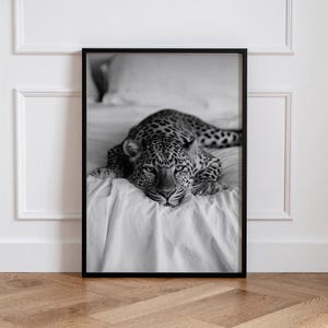 Può includere: Una stampa artistica da parete incorniciata in bianco e nero che raffigura un leopardo sdraiato su un letto bianco. Il leopardo è posizionato al centro della cornice e guarda dritto davanti a sé, con il pelo maculato ben visibile sul tessuto.