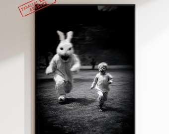 Creepy Bunny Poster, Dark Humor Decor, Weirdcore Photography, Horror Rabbit Aesthetic