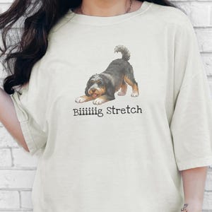 Comfort Colors Bernedoodle Tee Biiiiig Stretch Shirt, Bernedoodle Owner Dog Dad Shirt, Funny Bernedoodle Lover, Doodle Dad Mama Gift