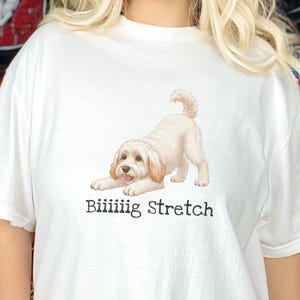 Camiseta elástica grande Comfort Colors para amantes de los Schnoodle, camiseta divertida con diseño de perro Doodle, regalo para mamás perrunas de color marrón esponjoso, regalo para papás dueños de Schnoodle