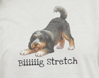 Bernedoodle-tröja för hundägare, rolig Bernedoodle-älskare, gåva för pappa och pappa