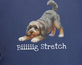 Comfort Colors Cavapoo Mom Shirt, Biiiiig Stretch Dog Lover Tee, Cavoodle Puppy Gift, Pet Owner Birthday Present, Cavapoo Owner Gift