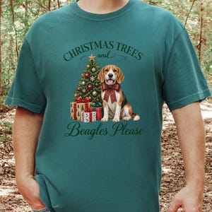 Beagle, ... bild 3