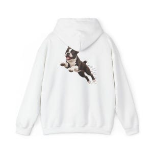 Bostonterrier-tröja, Bostonterrier-hundmamma-present, rolig Bostonterrier-tröja, Zoomies-hundtröja, bekväma färger för hundar bild 12